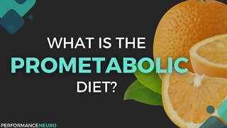 What is the Prometabolic Diet?