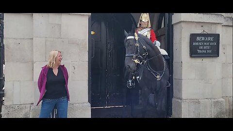 Horse warning ever tourist stay away #horseguardsparade