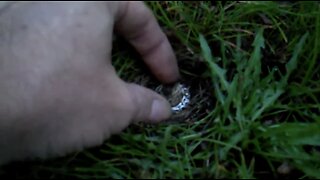 Season 2 ,89th hunt of 2012, finding a diamond ring