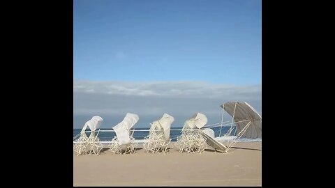 Theo Jansen’s “Strandbeests” , wind-powered sculptures that walk on the beach.