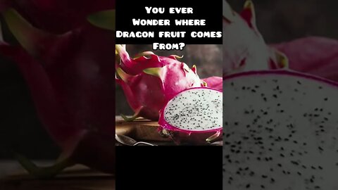 Where dragon fruit comes from #ecuador #ecuadortravel #ecuadorlife #wiersmerica #dragonfruit #fruit