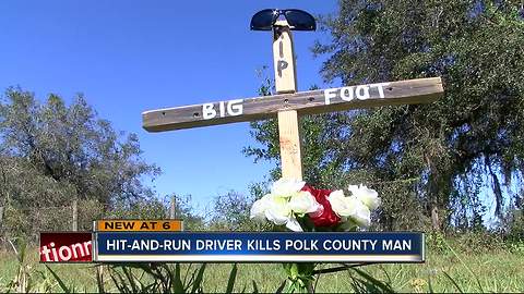 Hit-and-run driver kills Polk Co. man