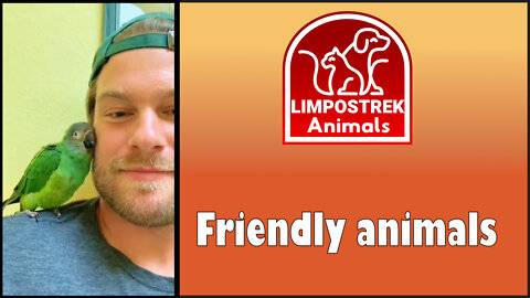 Friendly animals II.