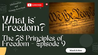 What is Freedom? 28 Principles of Freedom - Episode 9