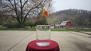 Slow Motion Squishy Carrot Drop / Splash