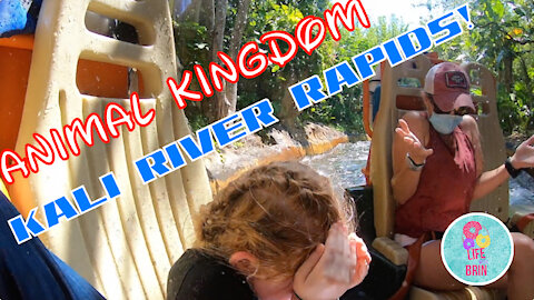 Disney Day 2 Animal Kingdom pt 2 KALI RIVER RAPIDS, EVEREST, Gorillas Zebras Tigers and more!