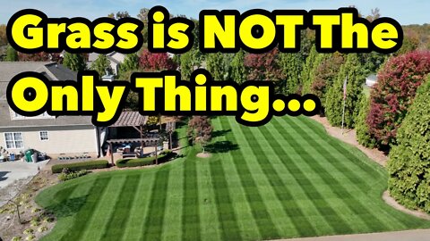 Your Grass Is NOT The Only Thing That Should LOOK GOOD!