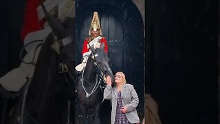 The horse kisses her back #horseguardsparade