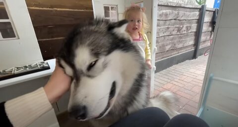 Adorable Baby Girl Hides In Her Playhouse From The Big Bad Wolf! (Cutest Ever!!)