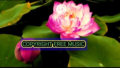 Copyright free Tabla background music for content creation/ Best royalty free Indian instrumental ll