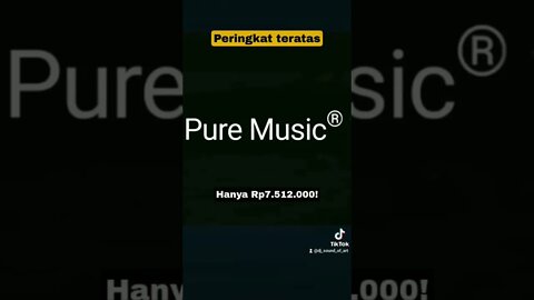 Pure Music Denon ARV - 250 RTX