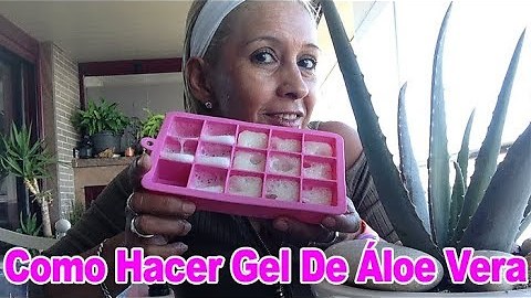 Como Hacer Gel De Áloe Vera Casero