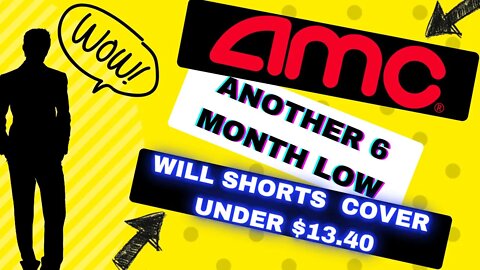 AMC Share Price Hits Another 6-Month Low/AMC Stock Will Hedge Funds Cover Under $13.40 Short Squeeze