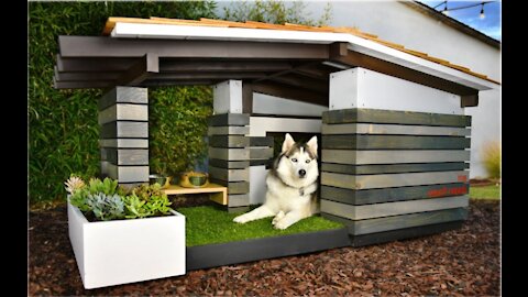 Most luxurious dog houses in the world