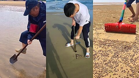 Fishermen's Activities Catching Crab, Fish