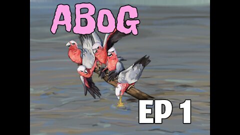 A bunch of galahs ep1 - and so it starts