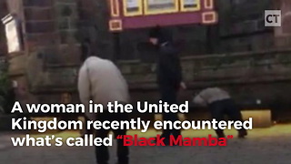 Woman Takes Video of “Black Mamba” Zombies Invading British Streets