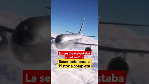 La serpiente estaba en el avión - Part 1