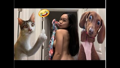 Funny animals 😂! Try not to laugh 😂! Can't control my laugh 😂 ! Latest funny video 2022 !