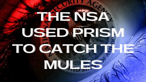 NSA USED PRISM TO CATCH THE MULES - SPIES LIKE US