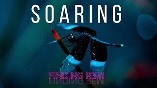 SOARING - Music for Sleep, Study or Meditation #ambientmusic #sleepmusic #findingrem