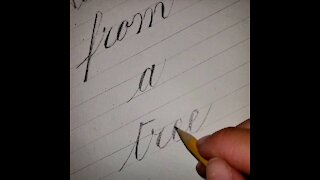 Advice from a Tree: Pencil Copperplate Calligraphy ad