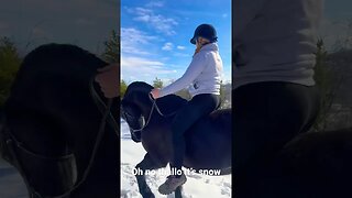 Thallo’s ride out in the snow #horse #viral #equestrian #horseriding #freisein #shortsfeed #shorts