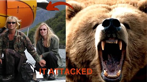 Park Rangers Warned Him: The Timothy Treadwell and Amie Huguenard Story