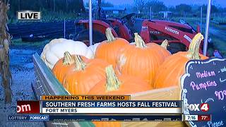 Southern Fresh Farms hosts free Fall Festival every weekend in October
