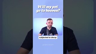 Do Pets Go To Heaven?
