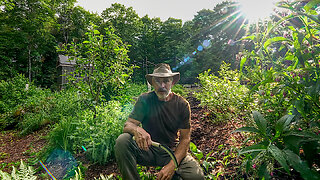 Survival Garden: Creating Abundance with Biodiversity in the Garden, Comfrey and Other Useful Plants