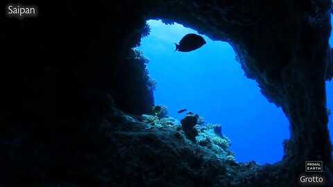 Nature of the Northern Mariana Islands 15