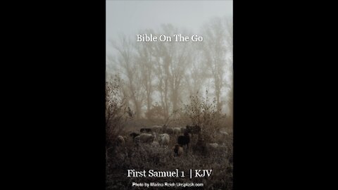1 SAMUEL 1 | KJV
