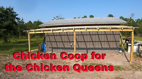 Chicken run framing and roof | Cant wait for farm fresh eggs laid by our chickens!