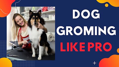 how to groom dog