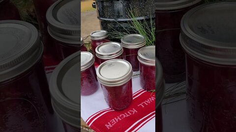 Canned Cranberry Sauce