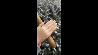 Smoke Show Saturday. SPH has a cigar #funny #funnyvideos #pointless #cringe #tinyhands