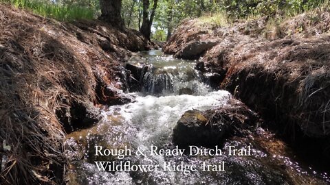 Wildflower Ridge/Rough & Ready Ditch Trail