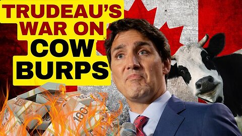 TRUDEAU'S POINTLESS WAR ON COW BURPS