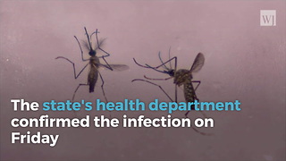 Florida Reports First Sexually Transmitted Zika Case