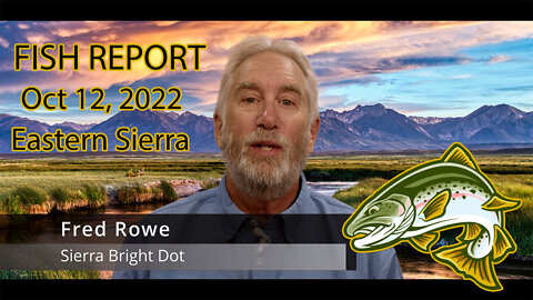 Fred Rowe Fish Report October 12, 2022