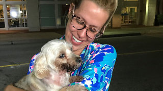 Dog recovering after being reunited with owner