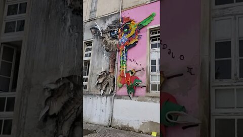 Amazing Street Art - Coimbra Portugal #shorts #art #graffitiart #coimbra #portugal