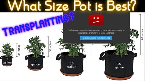 *CENSORED By YT* What Container Size to Use? How Many Times to Transplant? (Instagram Questions)