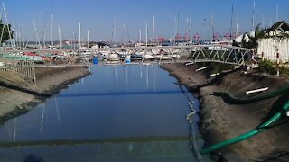 SOUTH AFRICA- Durban - Sewage leak at Durban harbour (Videos) (7wP)