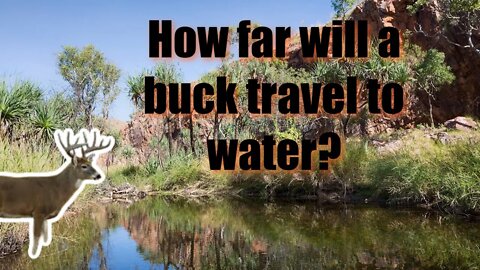 How far will deer travel to get water?
