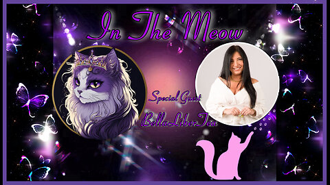 In The Meow | With Special Guest BellaLiberTea