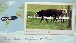 Congratulations Hauptman H3 Farms Purchasing Puckster, Domino, and Boomer
