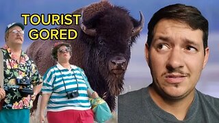 Tourist GORED by Bison at Yellowstone