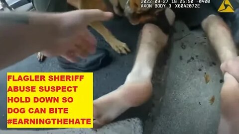 Flagler Sheriff Abuse Power With K-9 Attack - 5 Cops Hold Suspect So Dog Can Bite - Earning The Hate